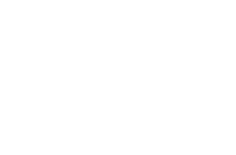 Viking Wine Cellars Logo